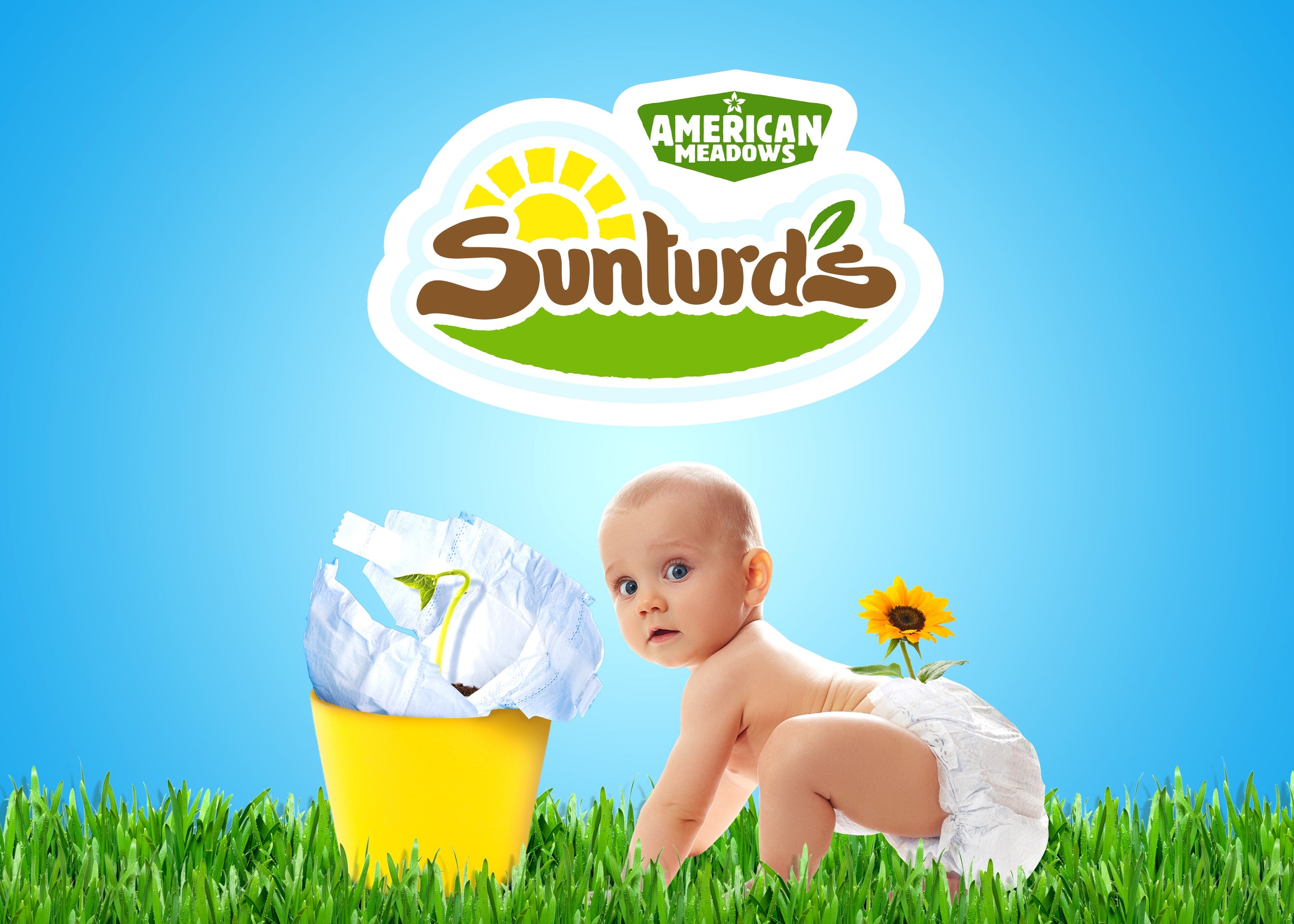 Sunturds american meadow baby on a grass