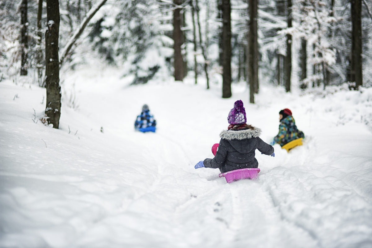 Childrens sliding on the snow