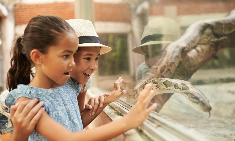 5 Ways to Up the Fun Factor at Museums, Zoos, and Aquariums