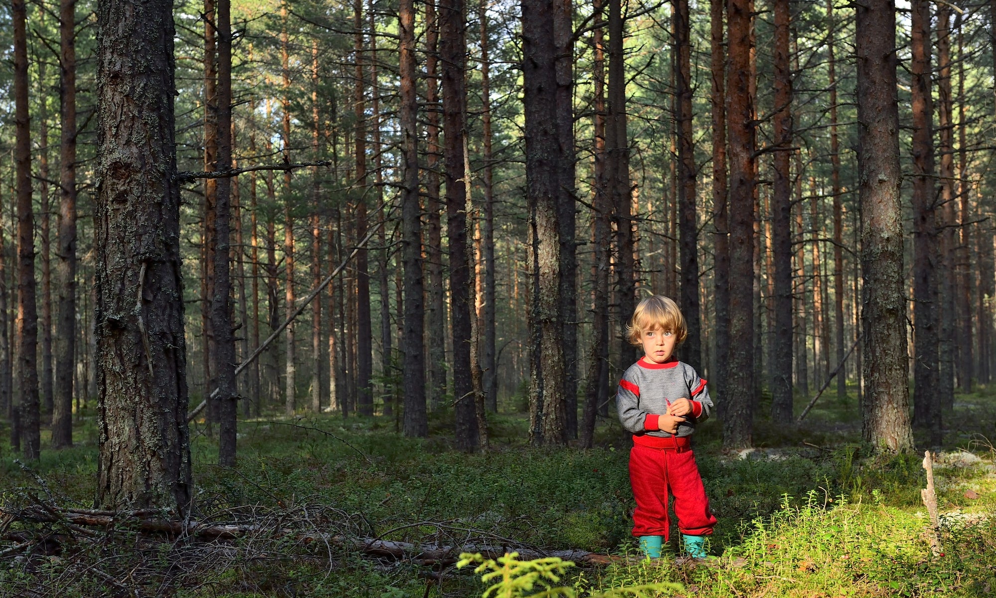 A kid in the forest