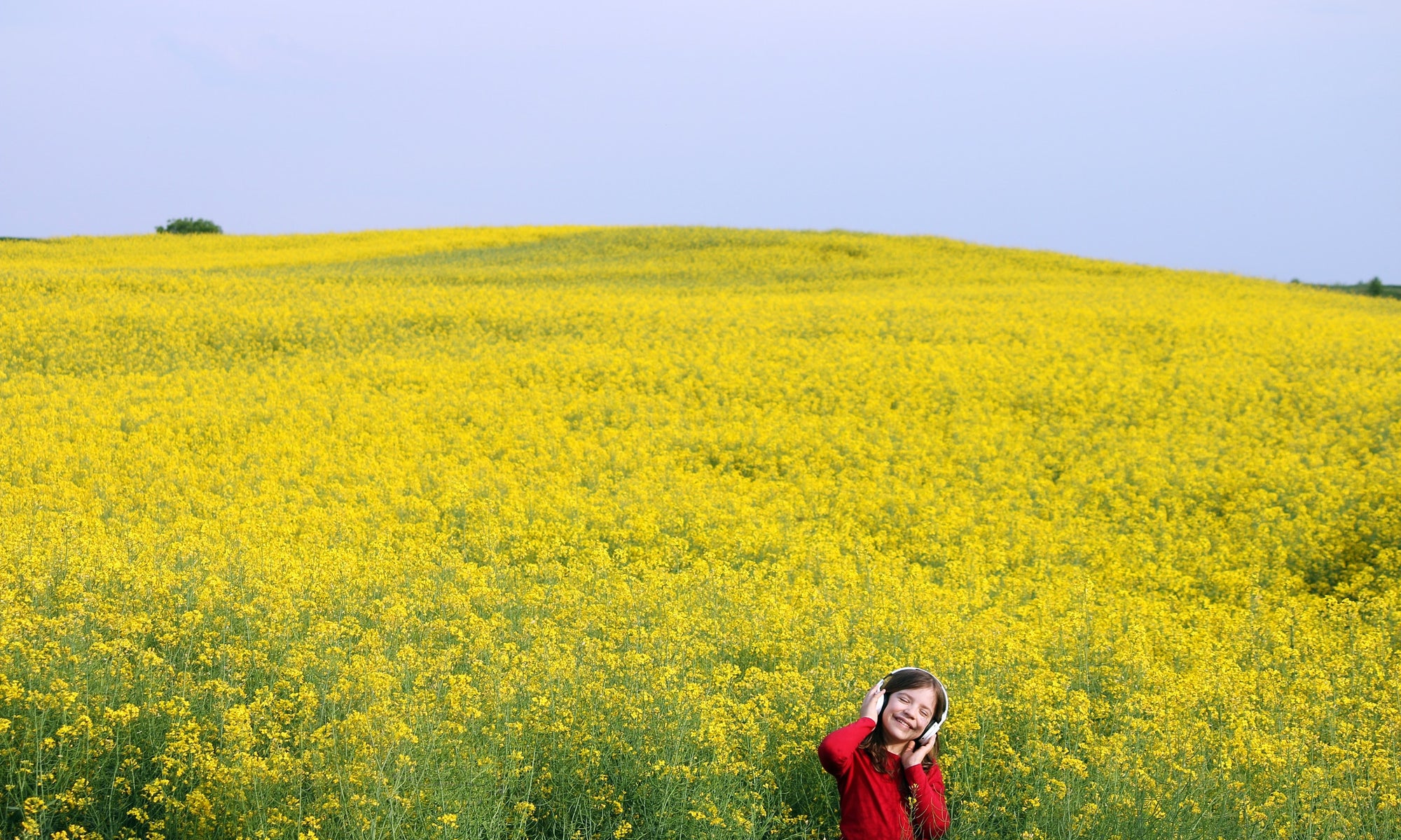 girl on yellow flower background listening to music