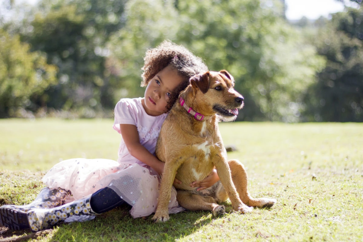 Girl hugging a big dog in a field