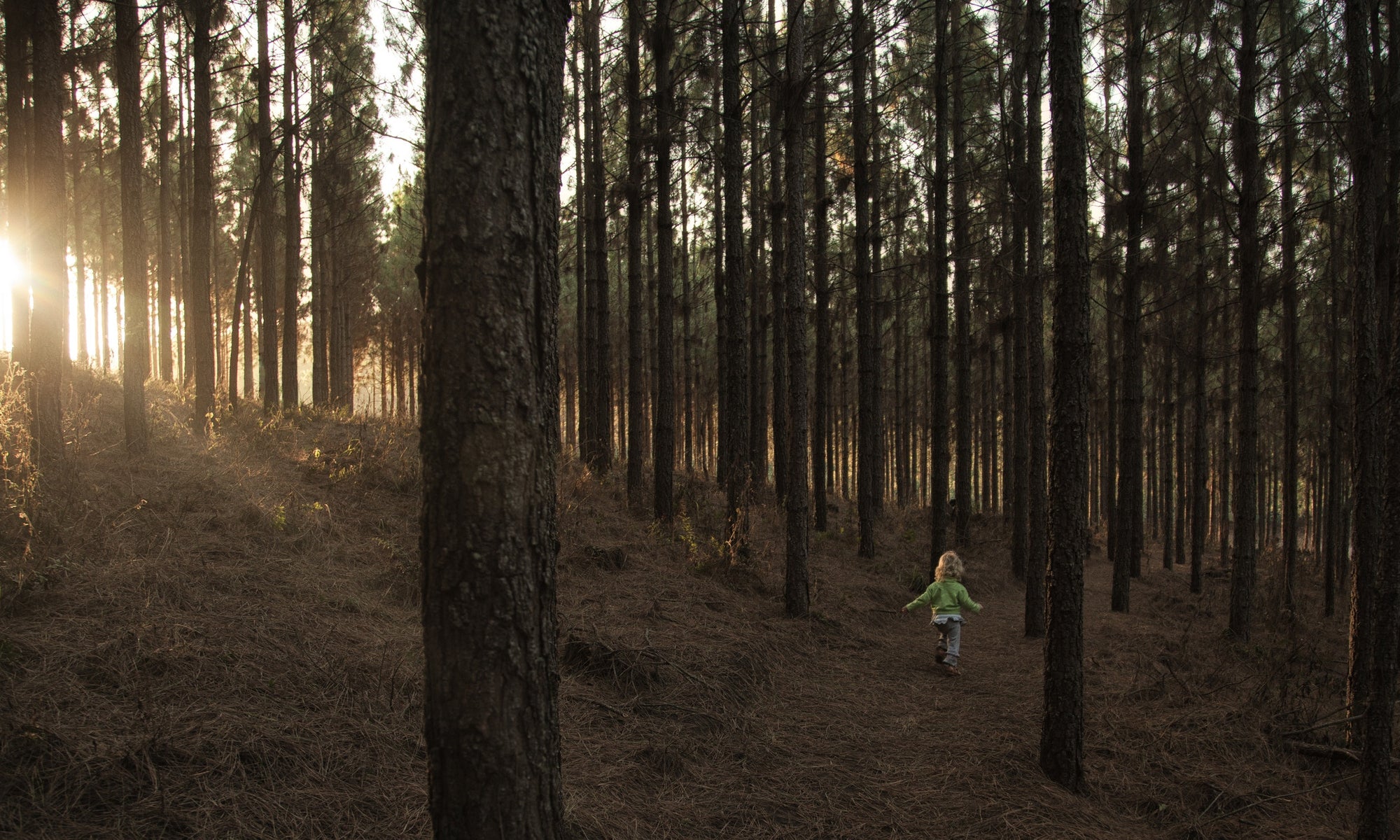 Baby on a forest at evening