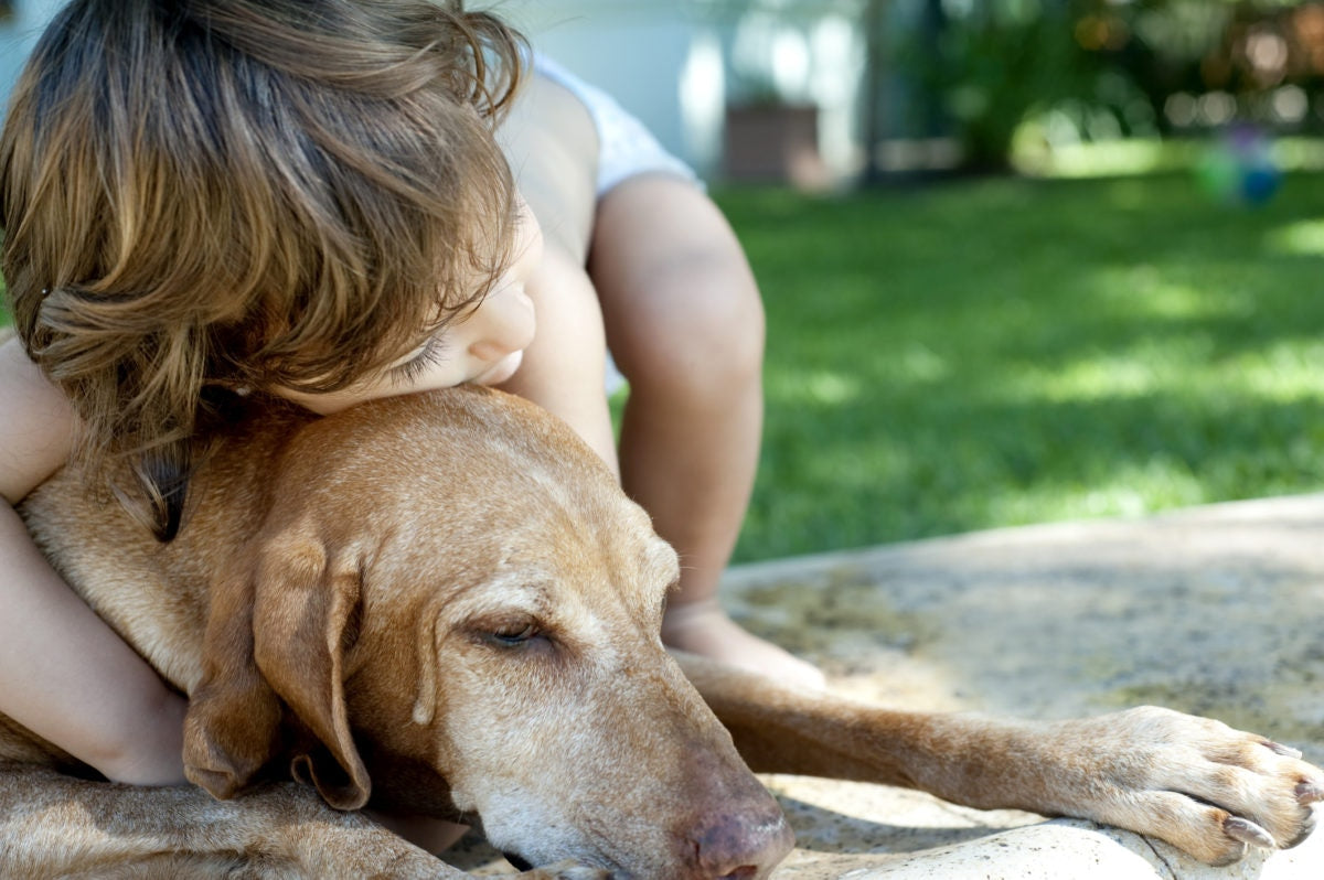 little girl hugging pet dog 