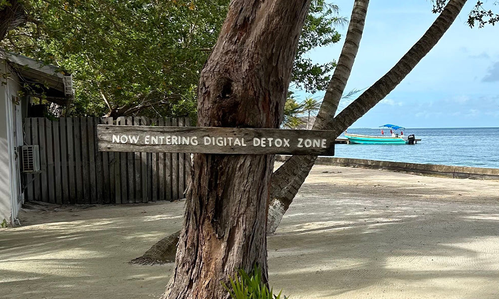 digital detox