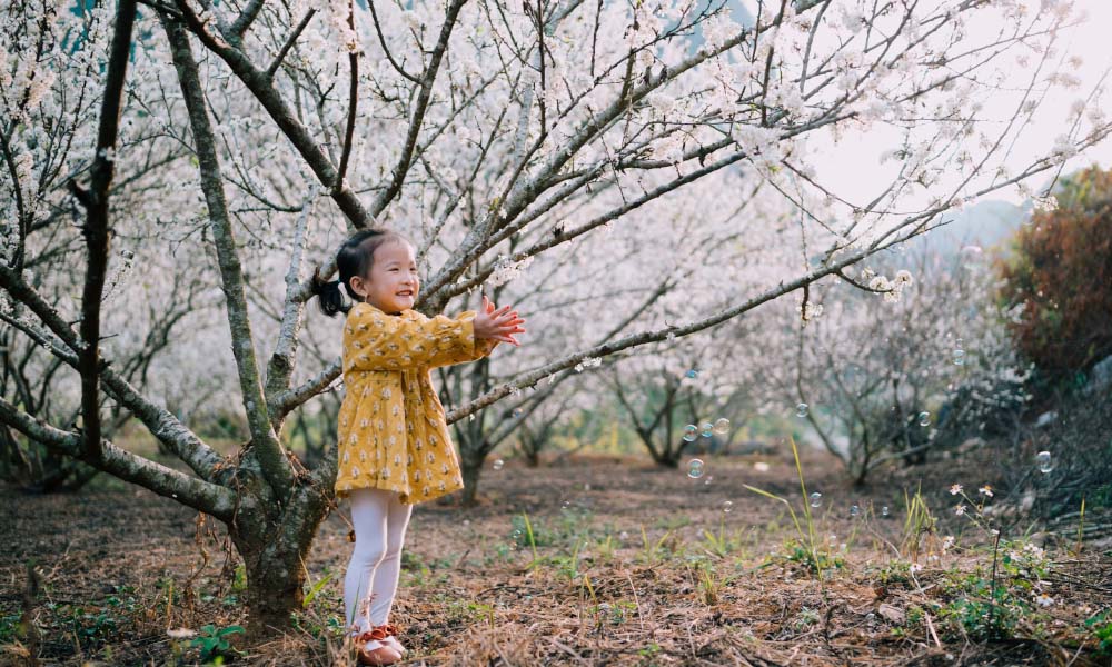 girl plays in blossoming trees